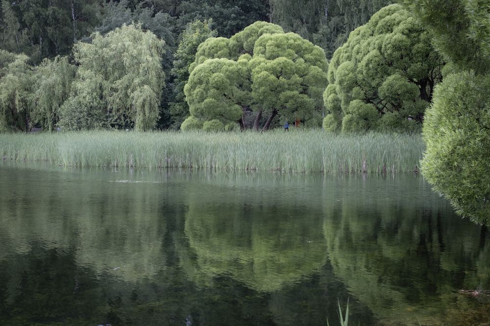 Photograph by Елена Барышева