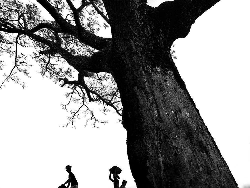 Photograph by Uthso Bordhan