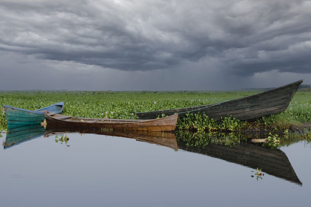 Photograph by Ali Sabih Kadhim