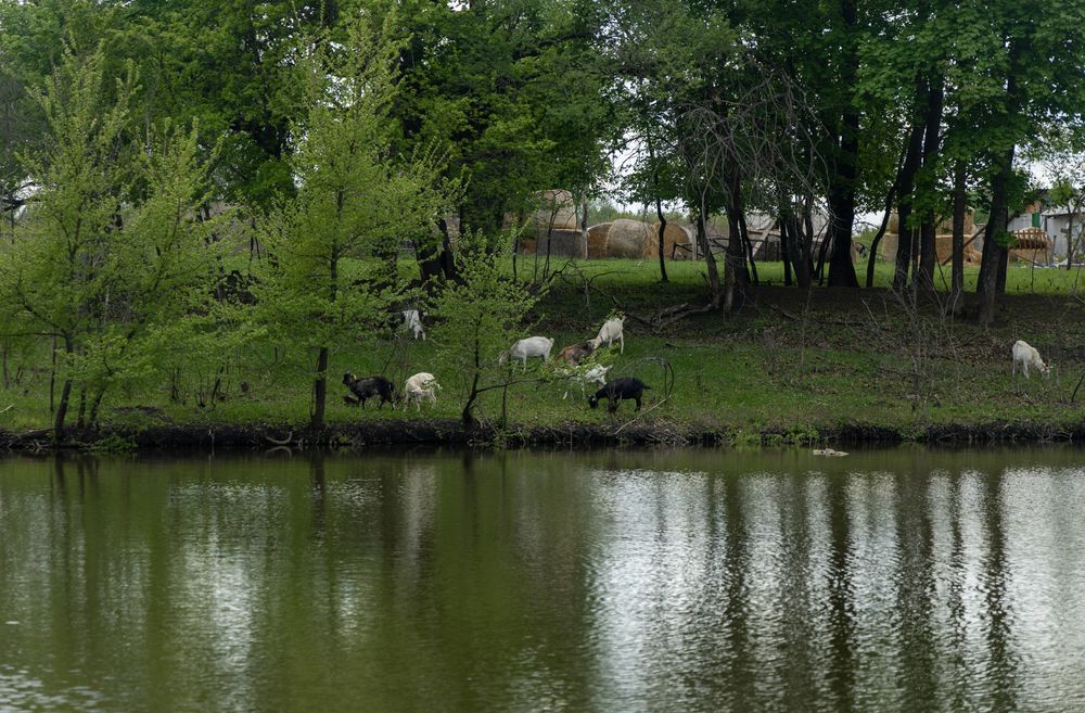 Фотография автора Светлана Поливанова