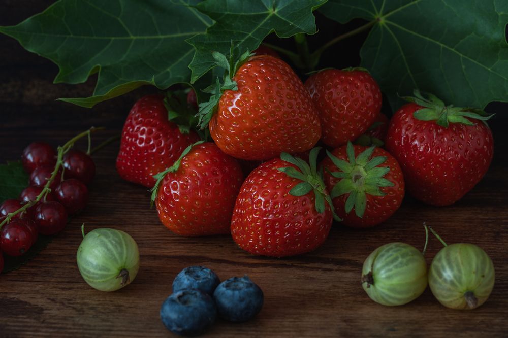 Photograph by Ed Simon