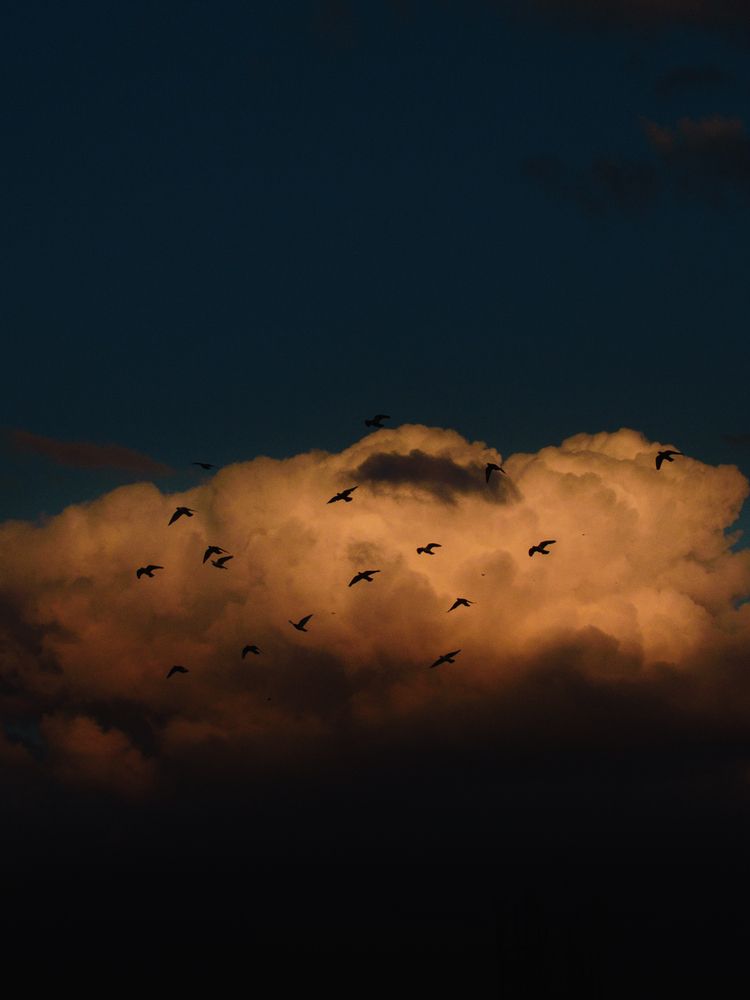 Photograph by NADER AYMAN