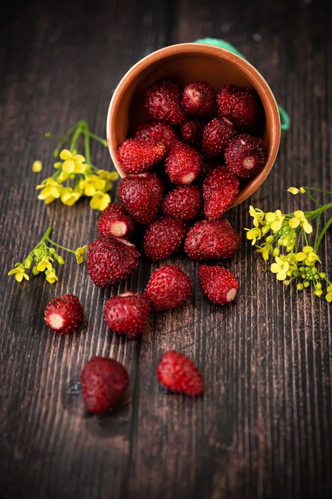 Photograph by Екатерина Одинцова