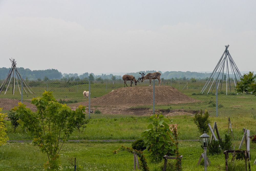 Photograph by Сергей Щербаков