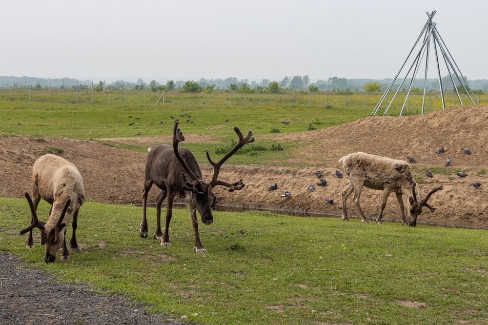 Photograph by Сергей Щербаков