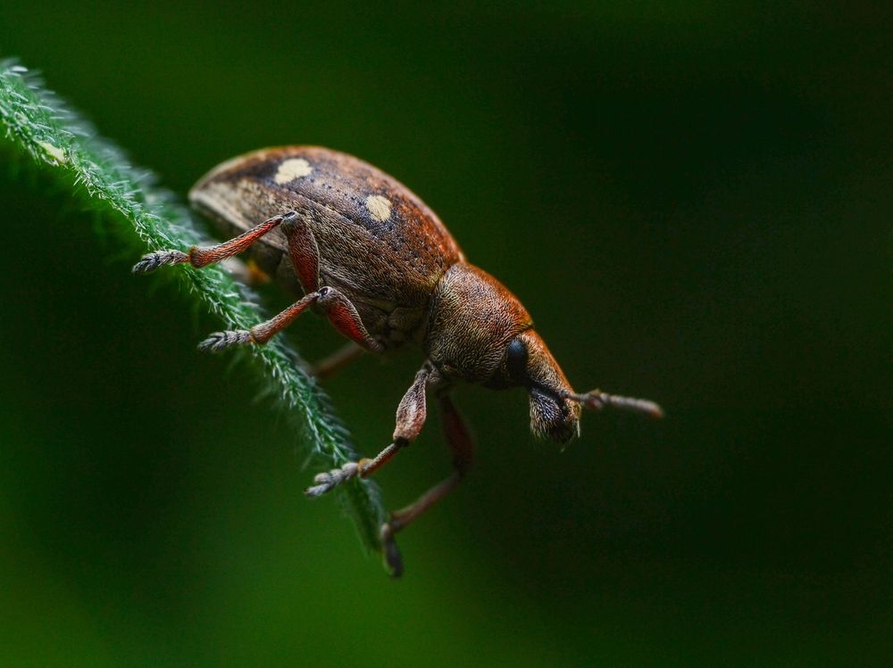 Photograph by Kirill Frolov