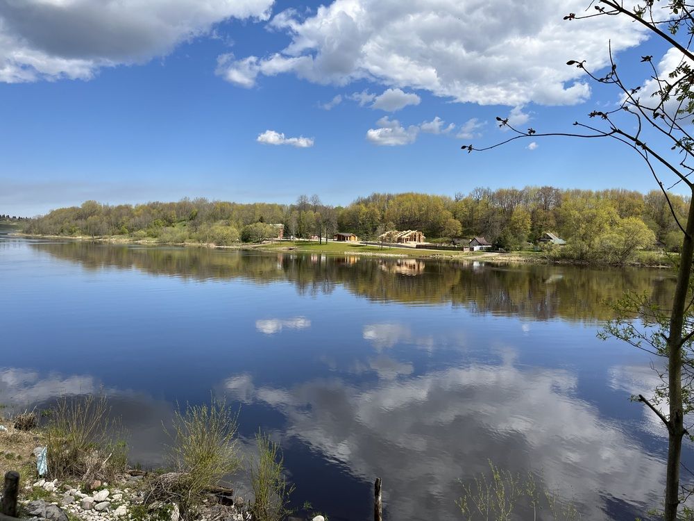 Фотография автора Виктория Ляпина