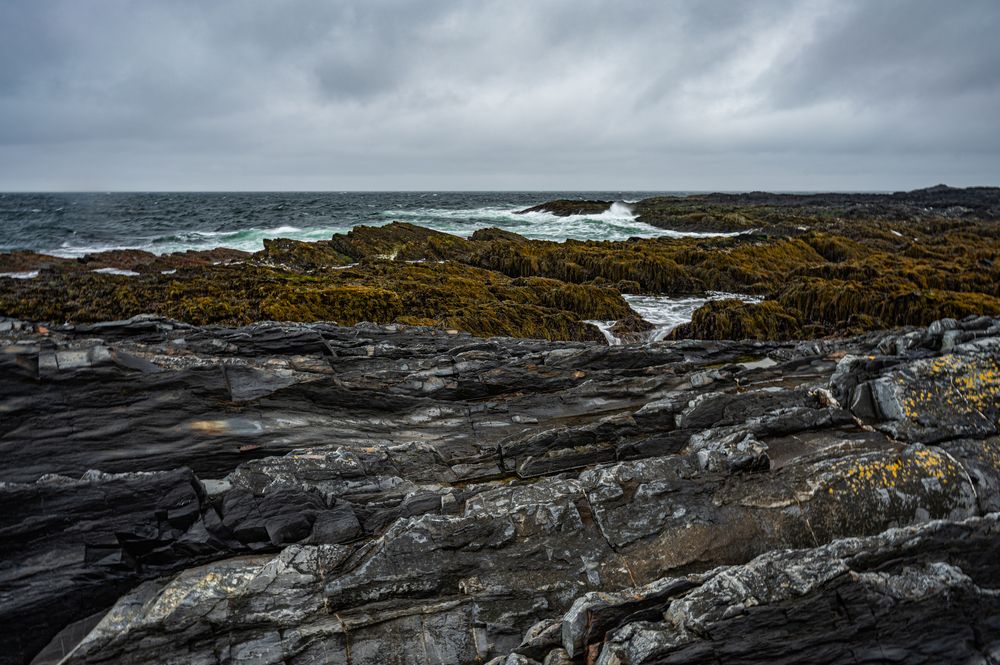 Photograph by Tanzilya Gabidullina