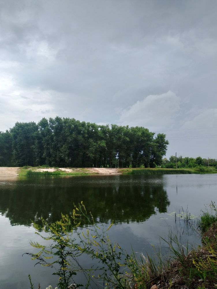 Photo #12308467