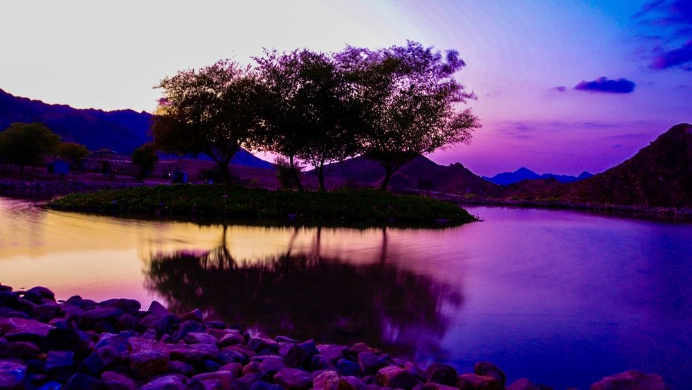 Фотография автора Sarrah Yehia