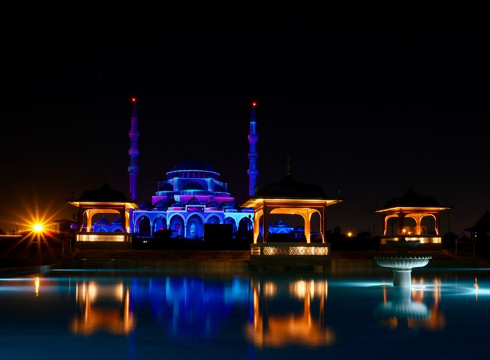 Фотография автора Sarrah Yehia