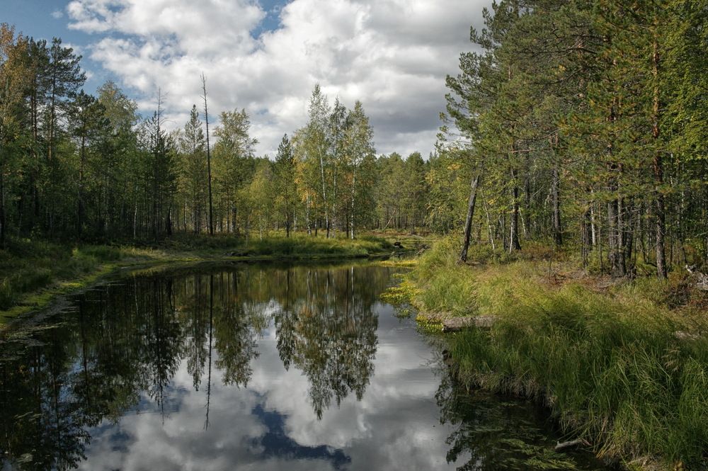 Photograph by Дронов Михаил