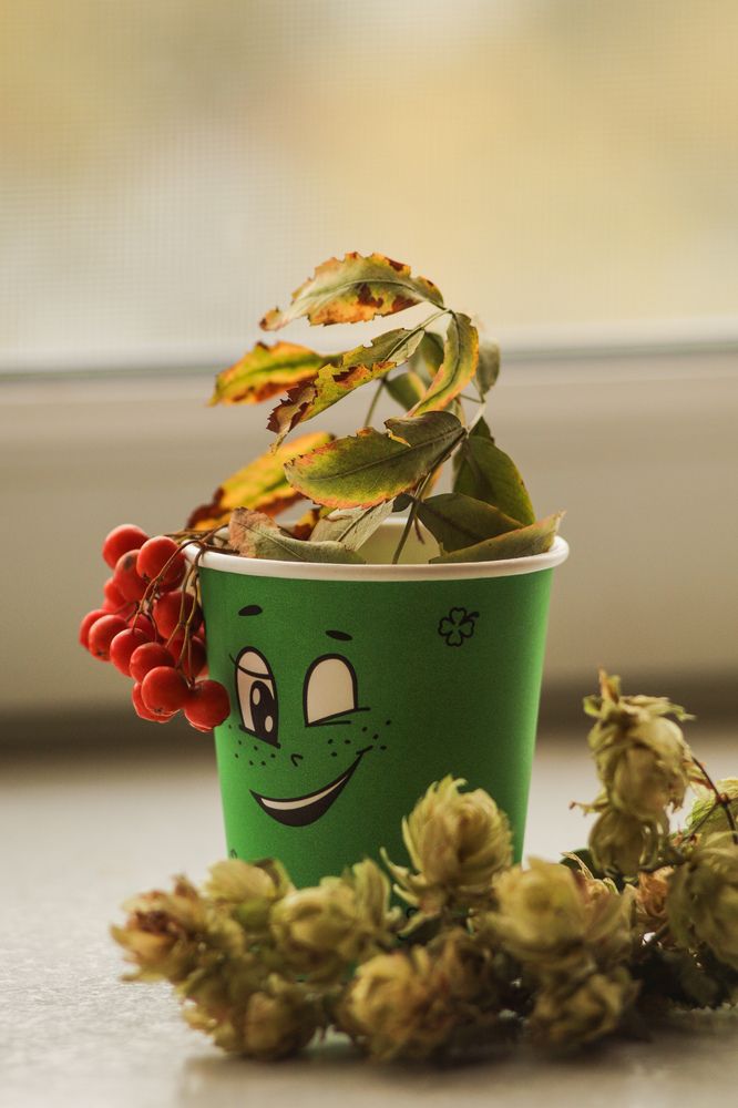 Photograph by Елена Квасова