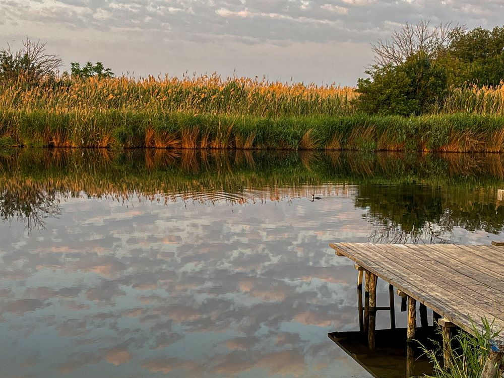 Photograph by Хавронина Марина