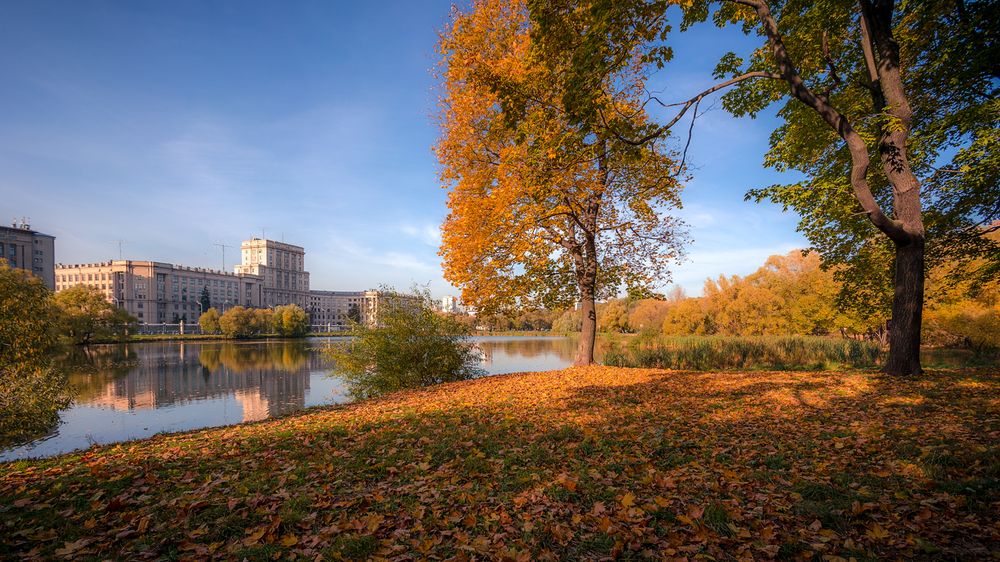 Photograph by Алексеев Сергей