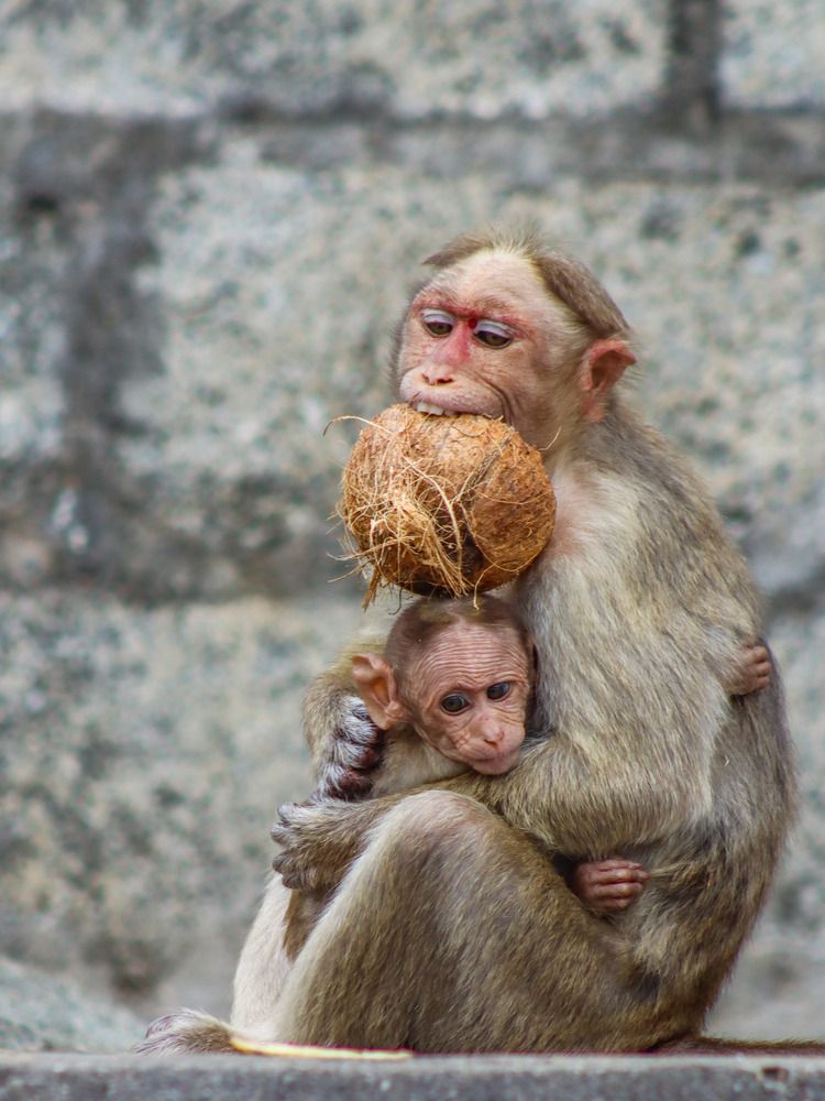 Photograph by Anurag Kashyap