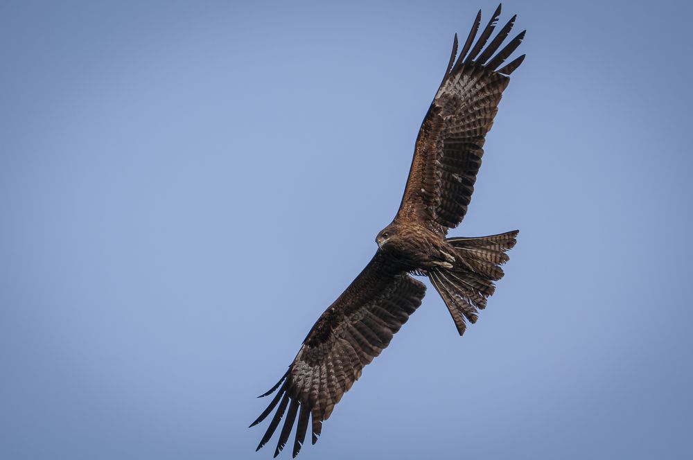 Photograph by Вадим Басов