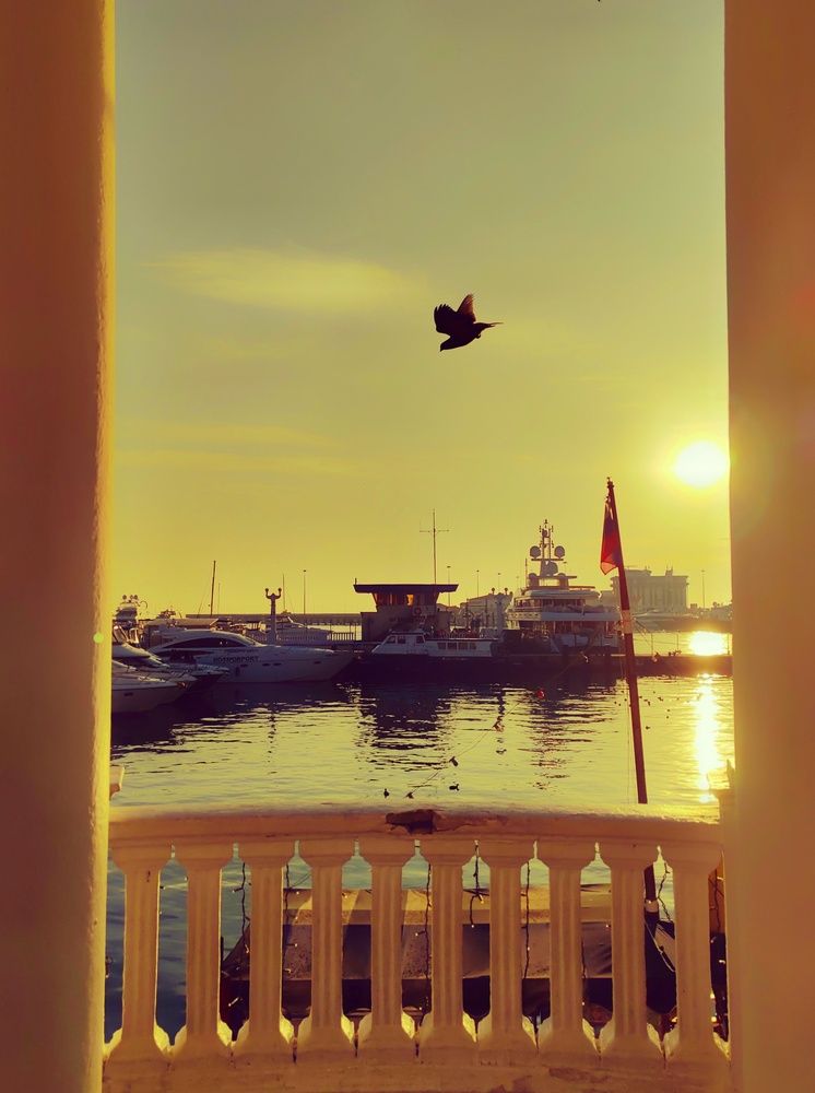 Photograph by Наталья Веряскина