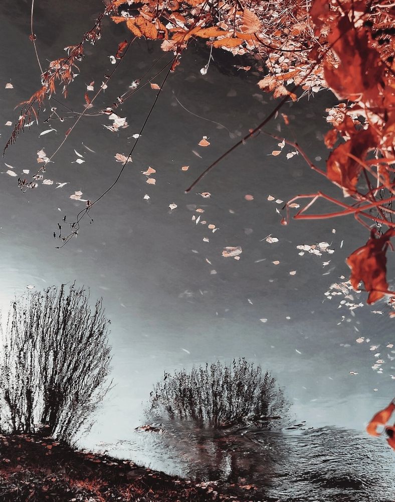 Photograph by Татьяна Гулакова