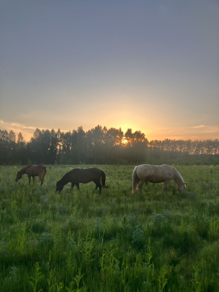 Photograph by Мария Карпычева