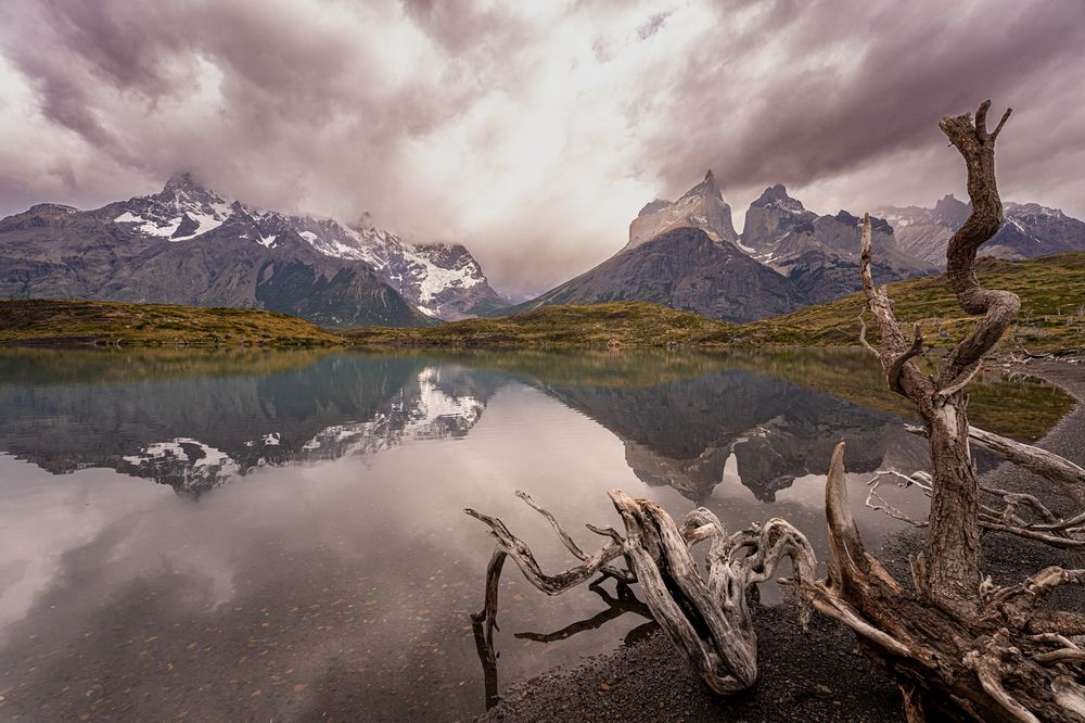 Photograph by Marcos Levy