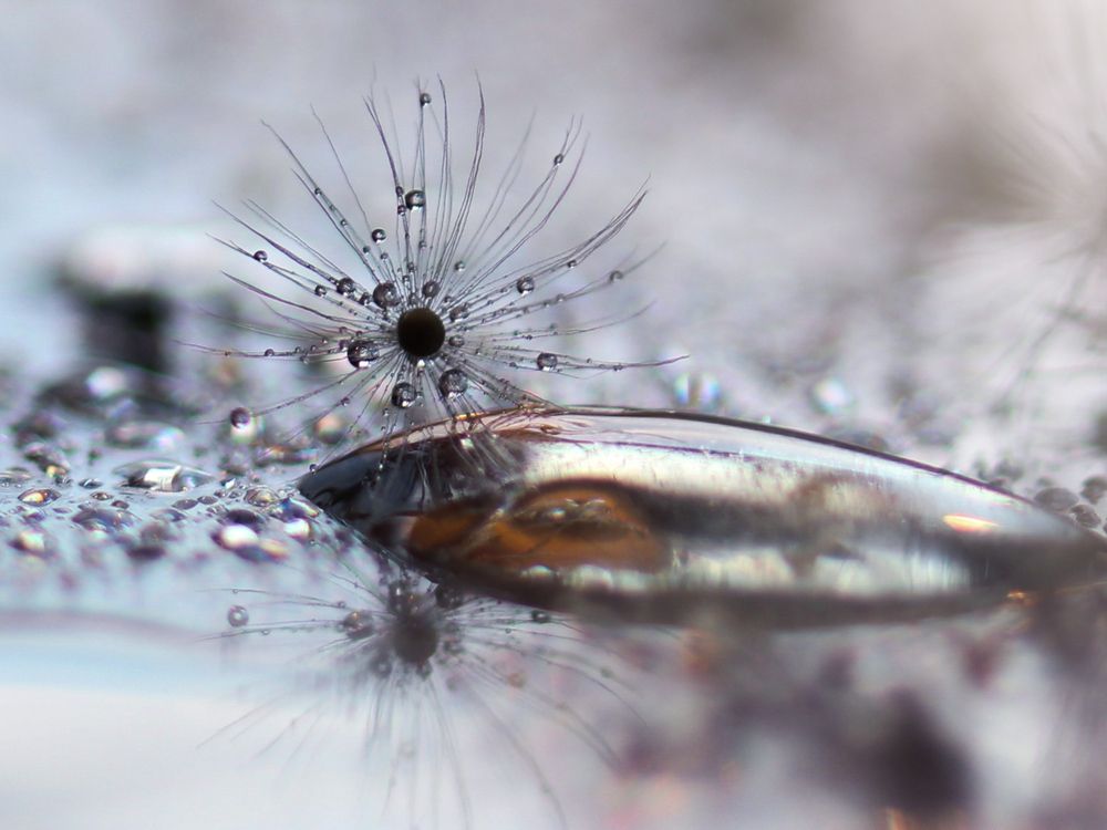 Photograph by Олеся Постнова