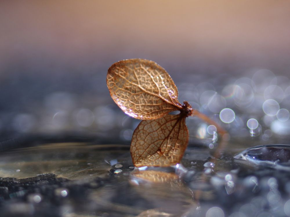 Photograph by Олеся Постнова