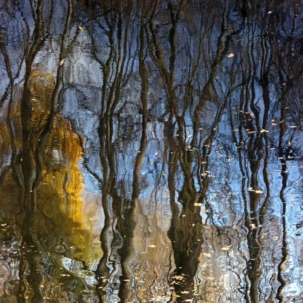 Фотография автора ТАТЬЯНА ЗАХАРОВА