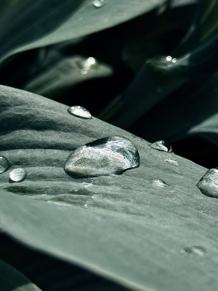 Photograph by Ольга