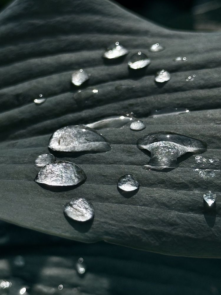 Photograph by Ольга