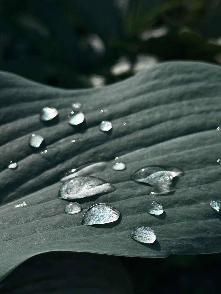 Photograph by Ольга