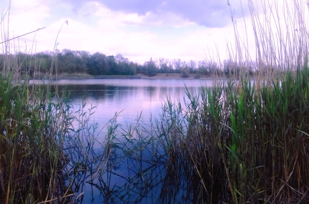 Photograph by Наталья Назаренко