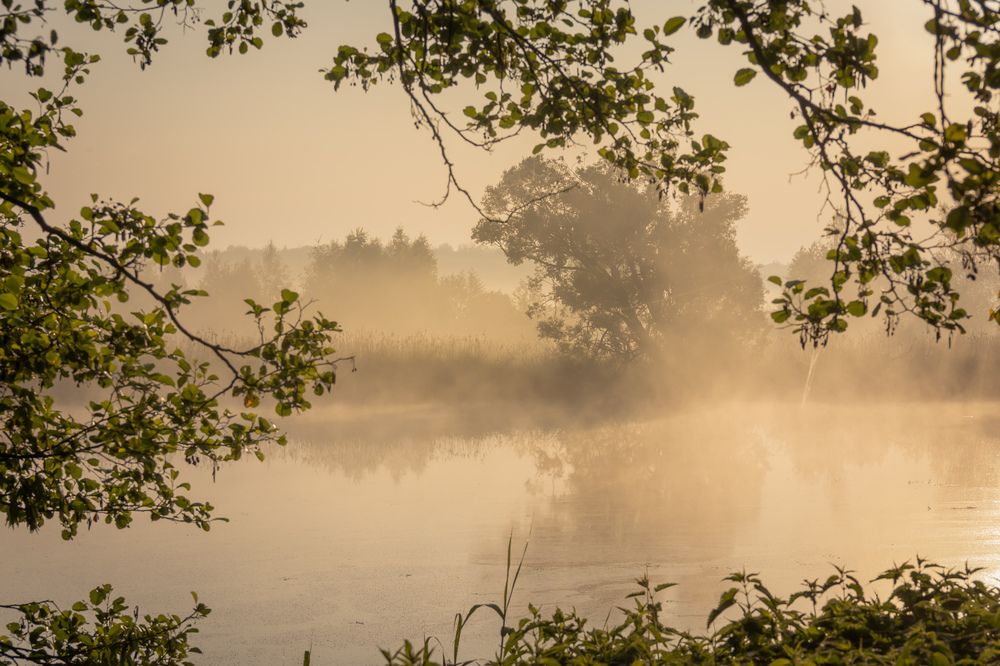 Фотография автора Кирилл Бражников