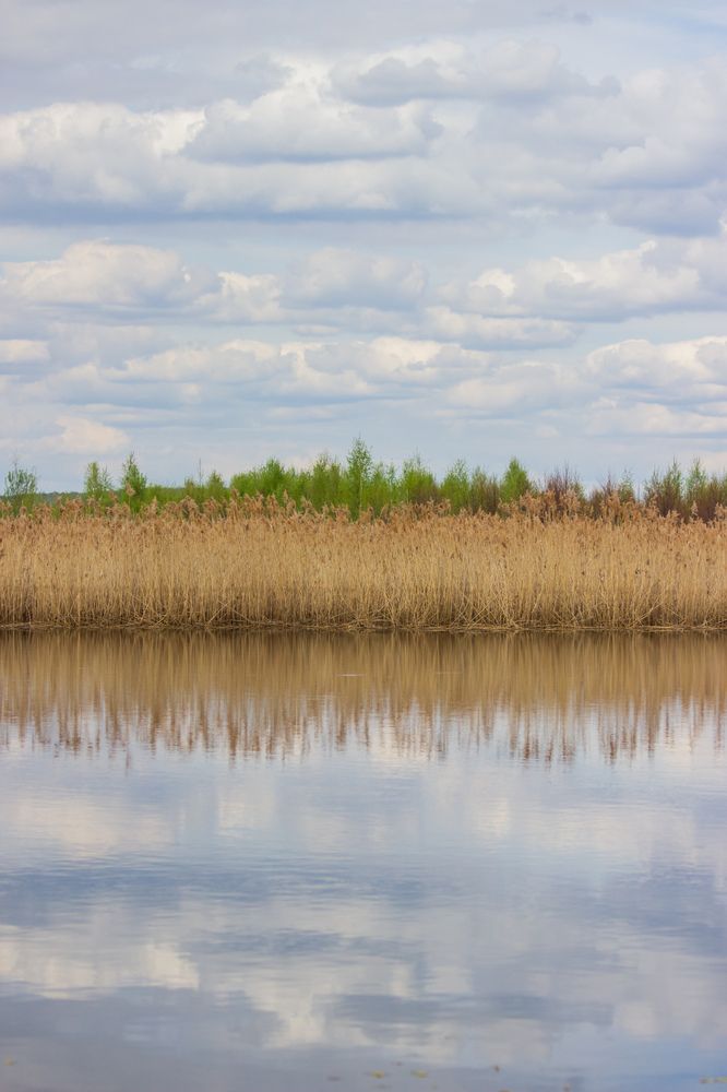 Фотография автора Кирилл Бражников
