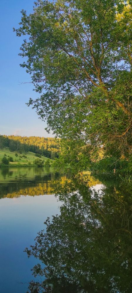 Photograph by Анастасия Семилетова