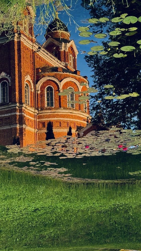 Photograph by Светлана Родионова