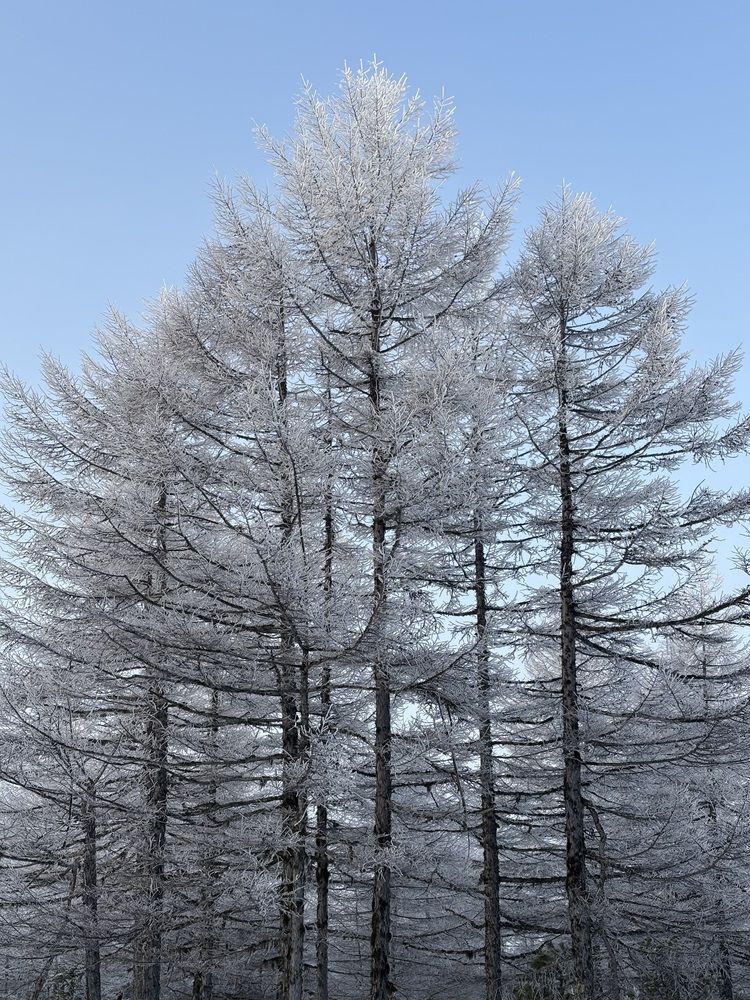 Photograph by Ольга Логарева