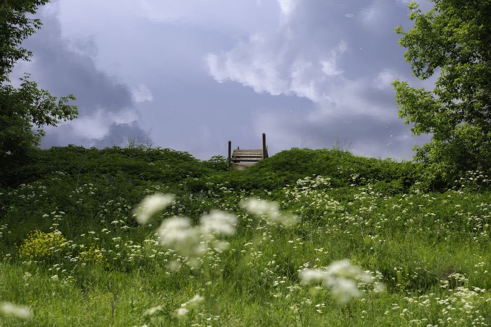 Photograph by Дмитрий Гривцов