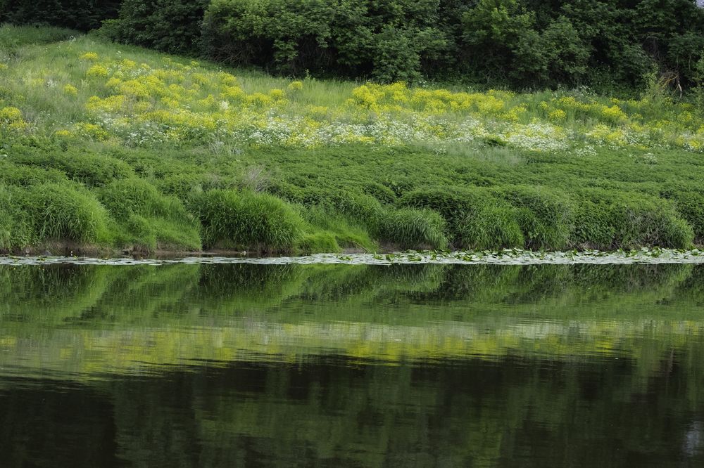 Photograph by Дмитрий Гривцов