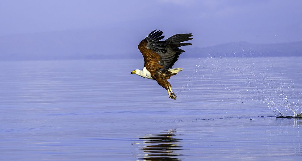 Photograph by Nuwair ALHajeri