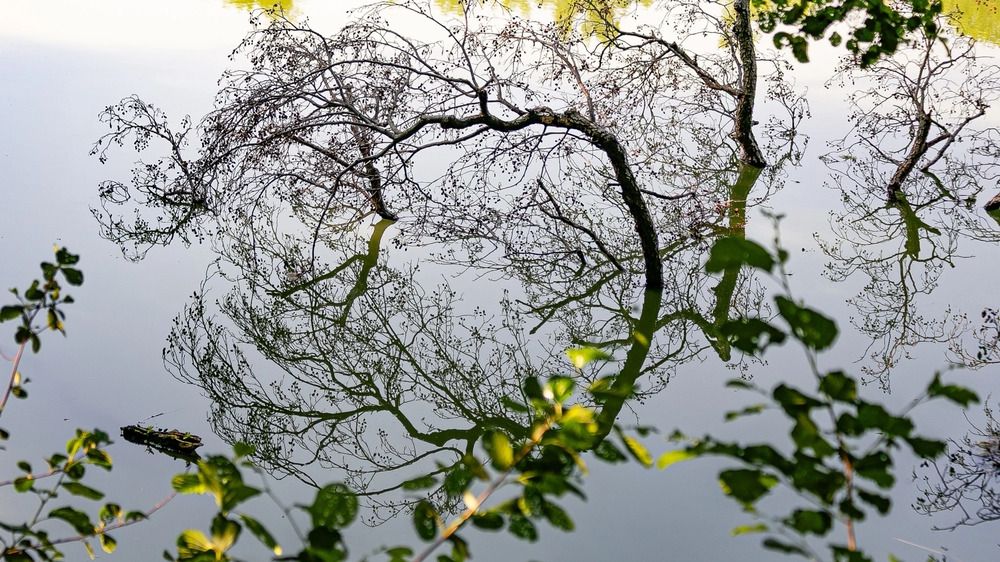 Фотография автора Елена Чиликина