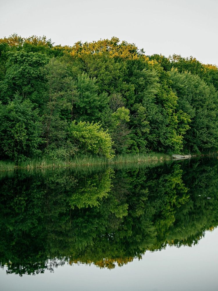Фотография автора Елена Чиликина