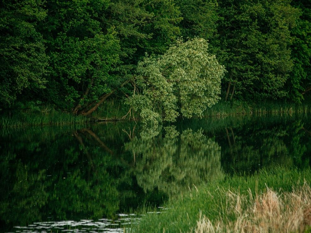 Фотография автора Елена Чиликина