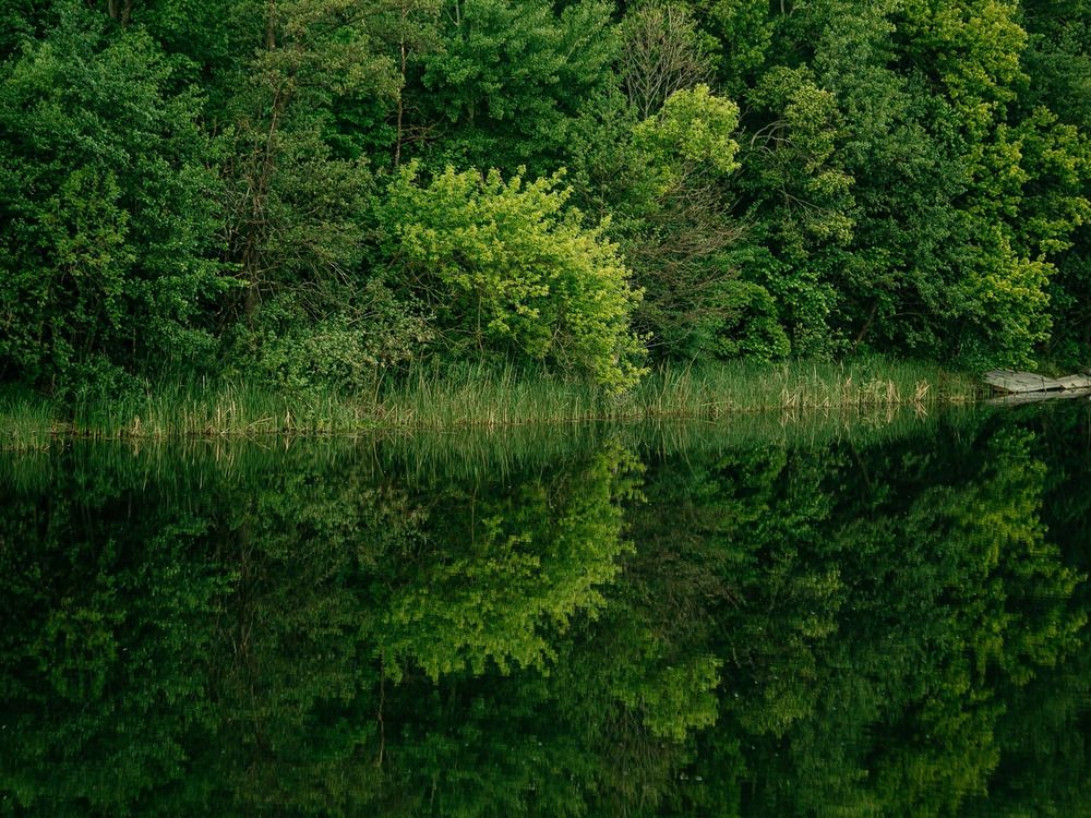 Фотография автора Елена Чиликина