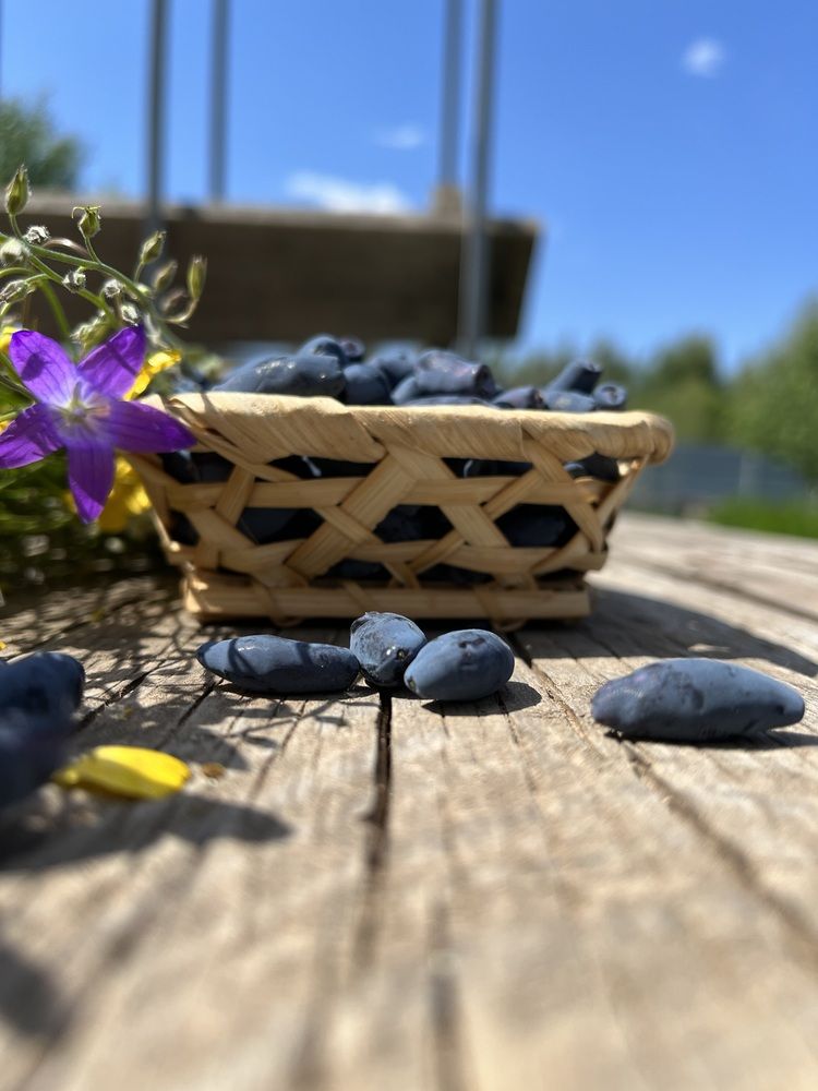 Фотография автора Irina