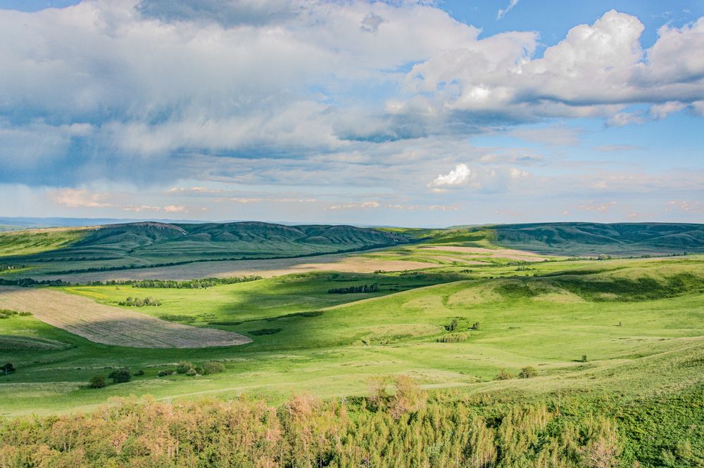 Photograph by Николай Михалев