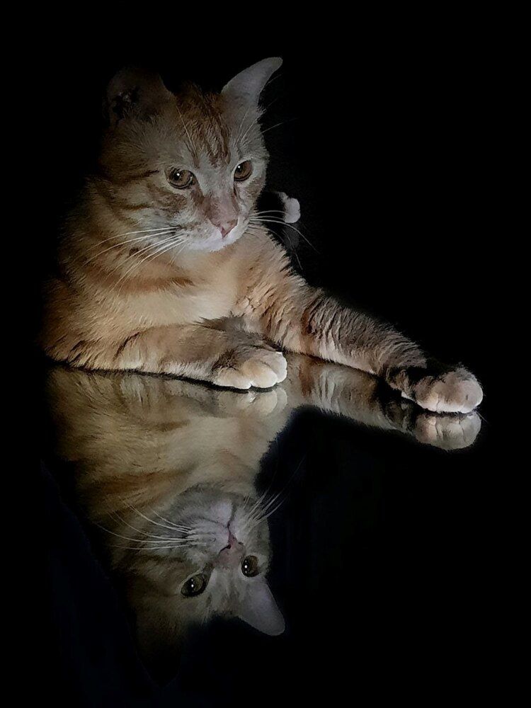Photograph by Юлия Каранго