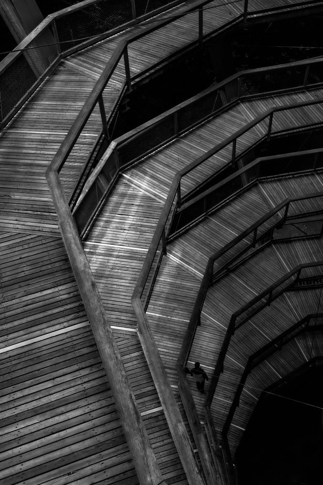 Photograph by Mostafa Mohammad Beigi