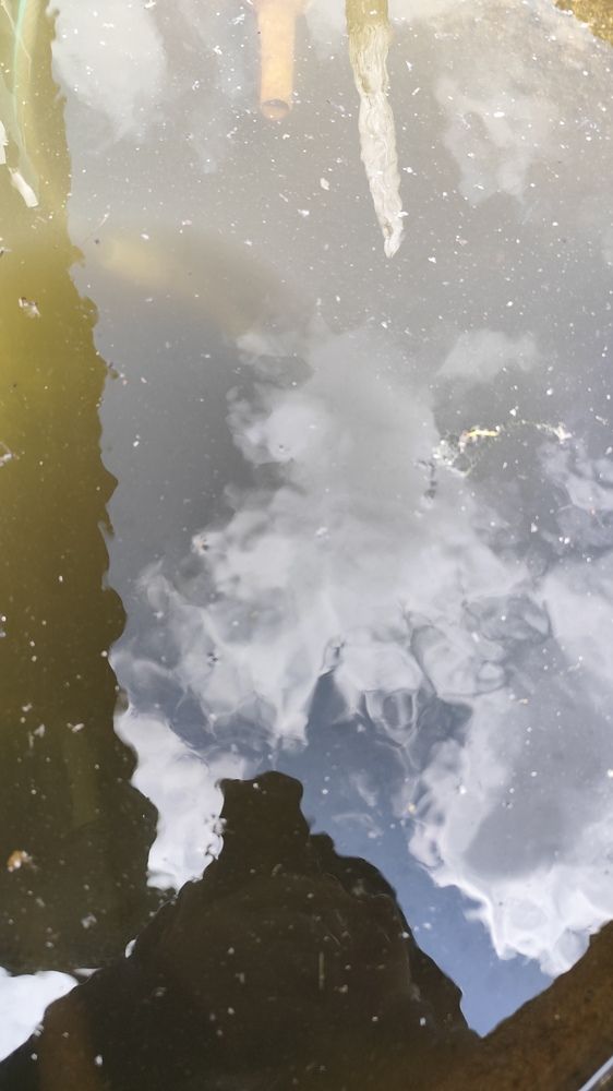 Фотография автора Татьяна Мишкина