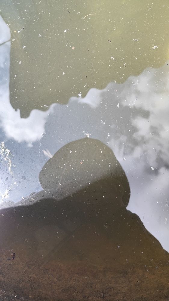 Фотография автора Татьяна Мишкина